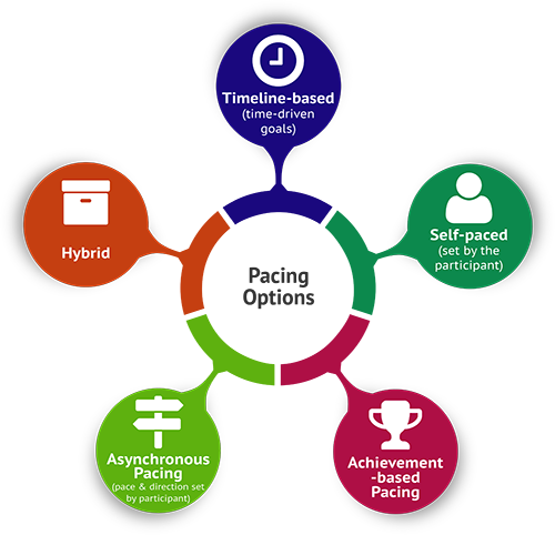 Design of Financial Literacy Workshop Extensions